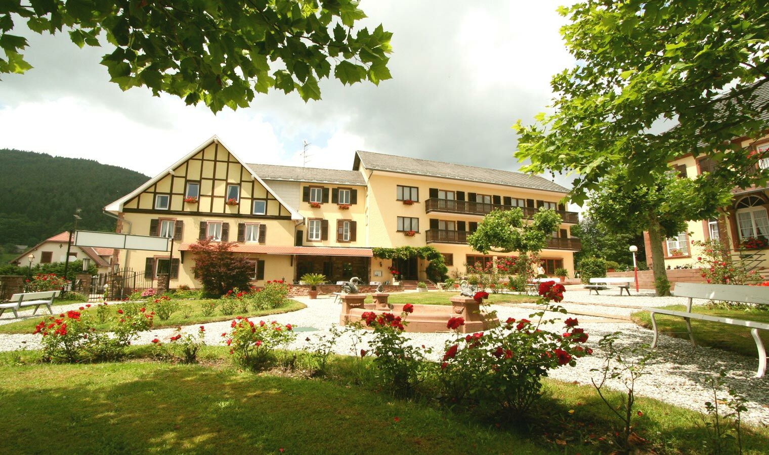 Parc Hotel Wangenbourg-Engenthal Экстерьер фото